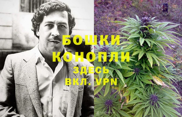 тгк Бородино