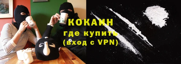 тгк Бородино
