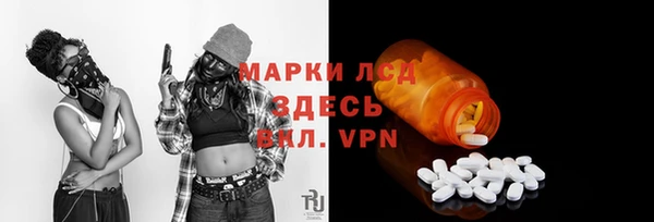 тгк Бородино
