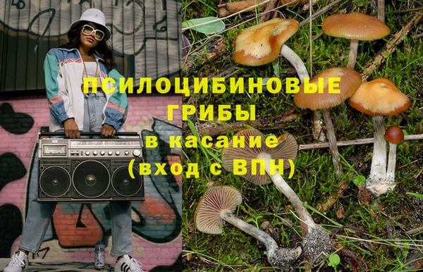 крисы Дмитровск