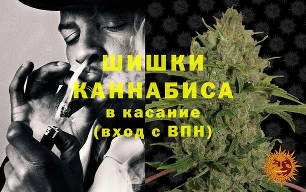 тгк Бородино
