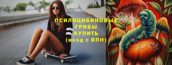 мдпв Дмитриев
