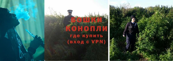 ALPHA-PVP Богородицк