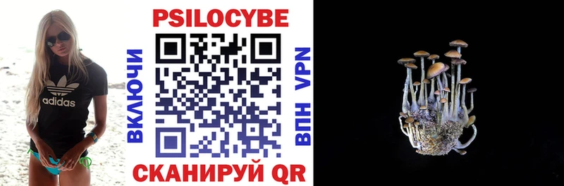 Псилоцибиновые грибы Psilocybe блэк спрут как зайти Рыбинск закладки